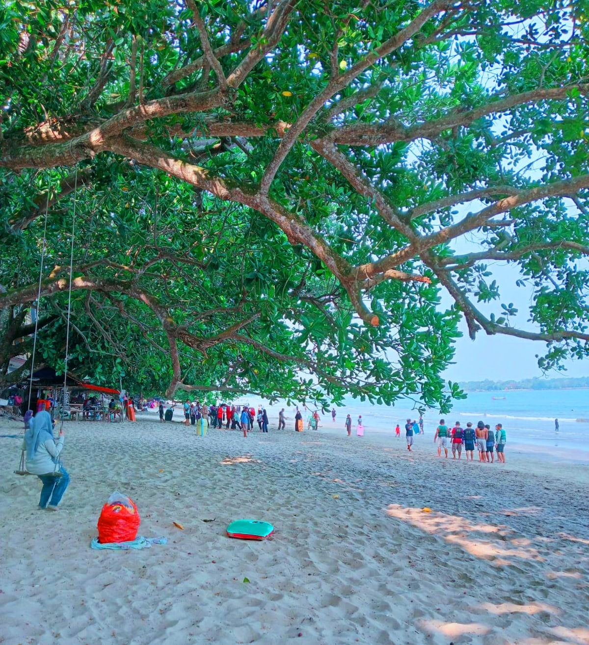 A sandy beach area is depicted, shaded by large trees with broad leaves. A swing hangs from a sturdy branch, while various groups of people enjoy the shoreline and water, creating a lively atmosphere.