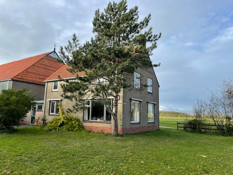 De Bocht, your dog is welcome!