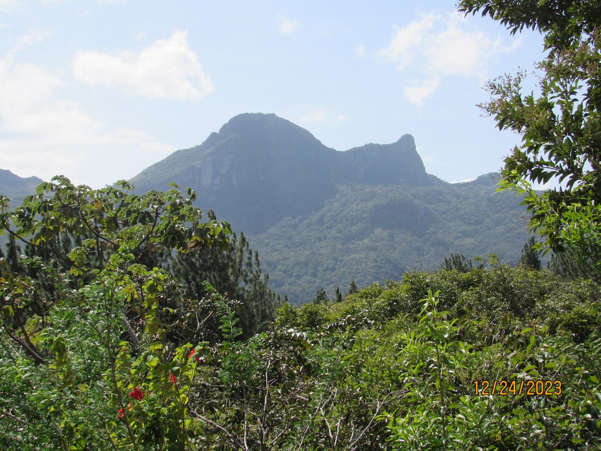 A mountainous landscape is framed by lush green foliage, with rolling hills and rocky peaks in the background. The sky is bright blue with scattered clouds, creating a serene and inviting outdoor atmosphere.