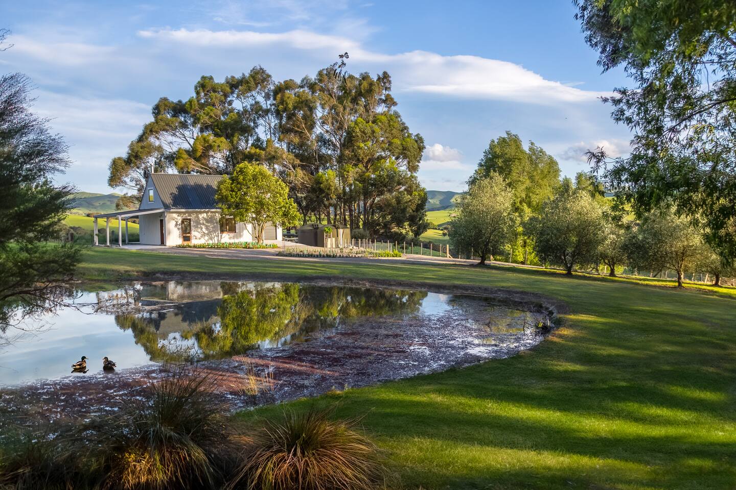 Clayfields 4