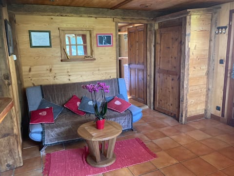 Top performing Airbnb: Ground floor apartment in Vallorcine