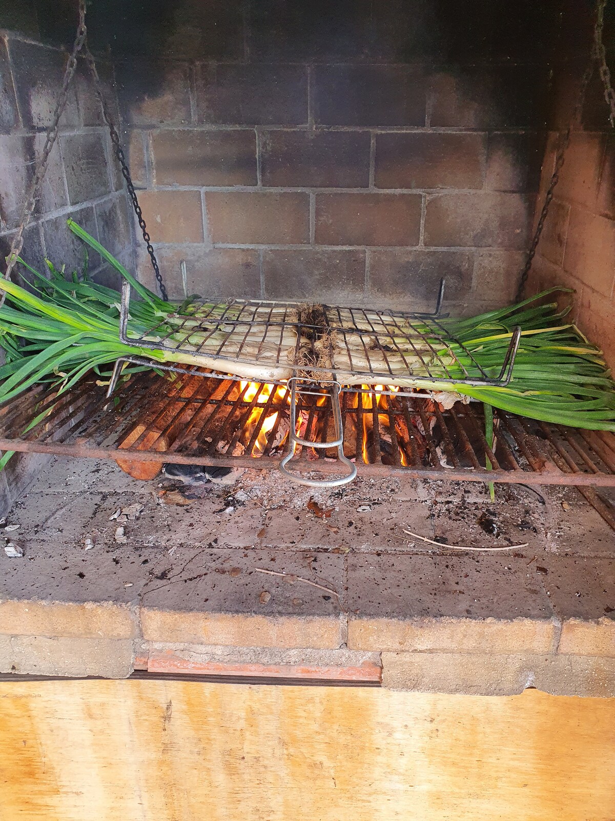 A barbecue grill is seen positioned over an open flame, containing a selection of green vegetables arranged on top. The grill is suspended from chains within a stone structure, with charred wood and embers visible below, creating a rustic cooking environment.