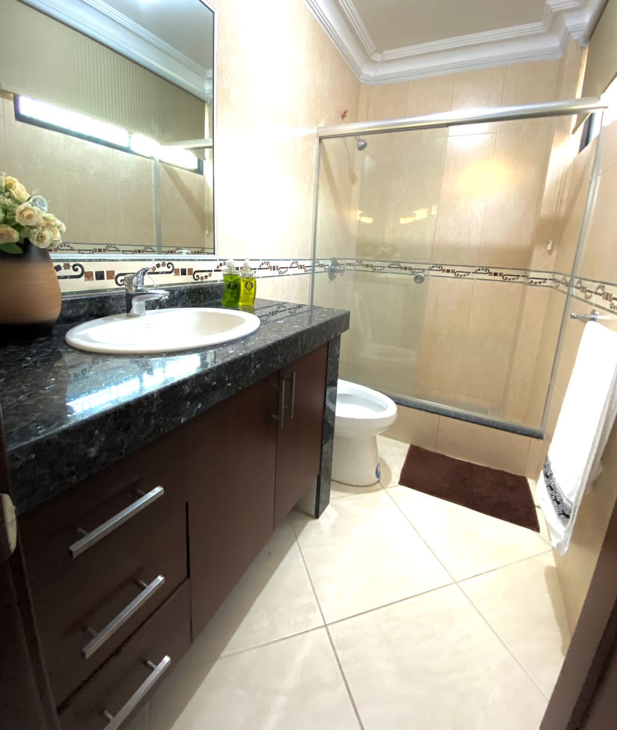 A modern bathroom features a granite countertop with a sink and storage cabinet underneath. A glass shower enclosure is visible, alongside a toilet. Neutral tiles cover the floor, and a towel is neatly placed on the ground. Natural light is provided by a window.