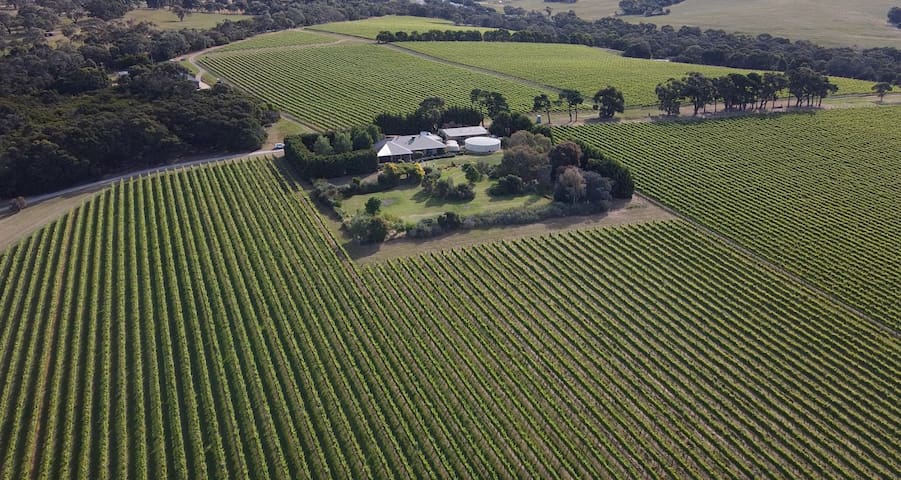 Vineyard Lane – Winery Escape!