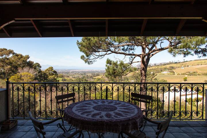 Pointers gallery image 4