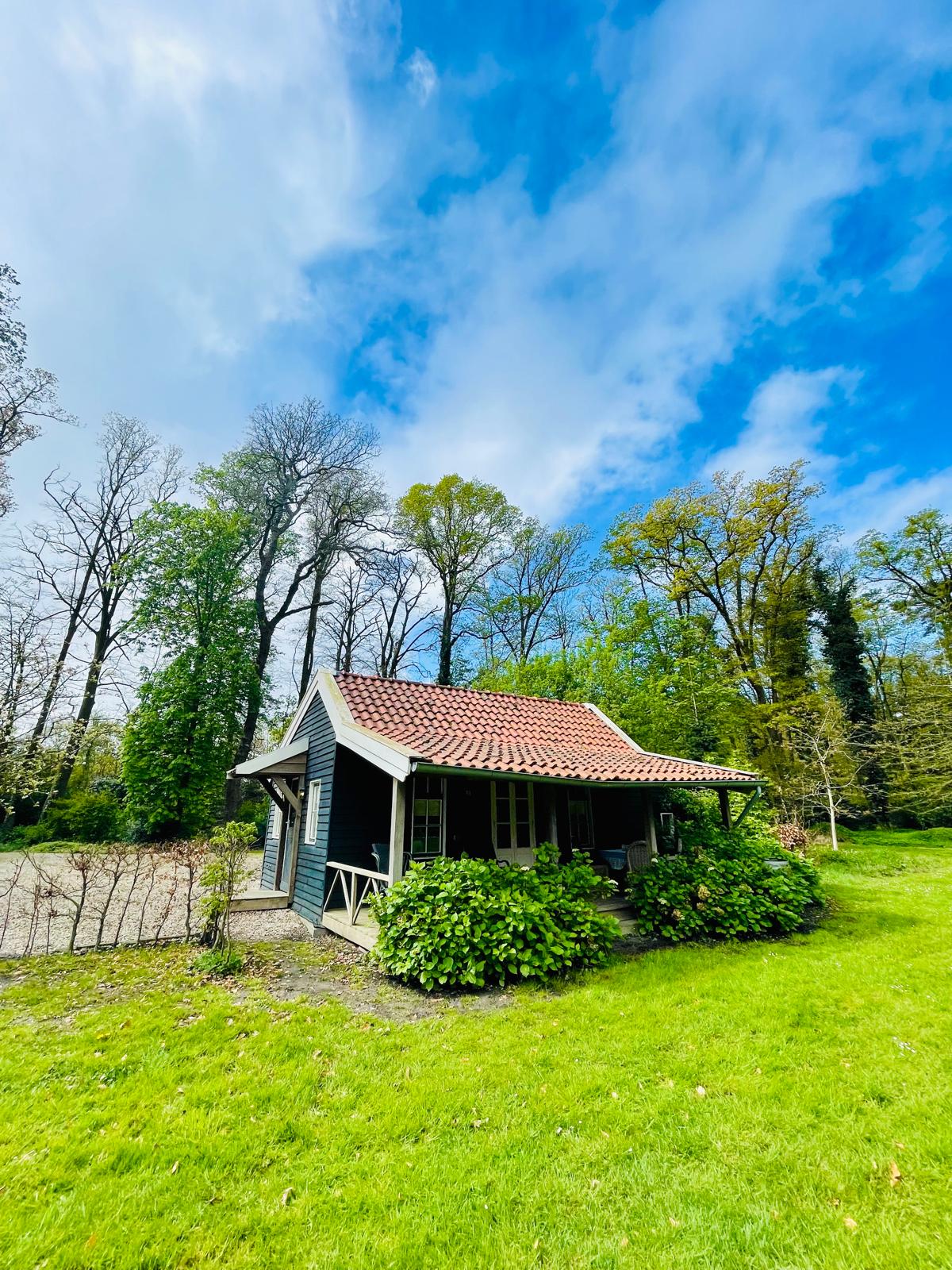 A cozy wooden chalet is surrounded by lush greenery and tall trees. A red-tiled roof complements the dark wood exterior. Windows reveal a bright and airy interior, while the neatly maintained lawn and nearby pathways invite exploration of the serene outdoor setting.