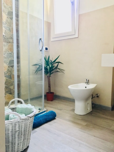 The bathroom features a glass shower enclosure, a small potted plant, and a bidet. A white wicker basket filled with soft towels is placed on the floor beside a teal bath mat. Natural light enters through a nearby window.