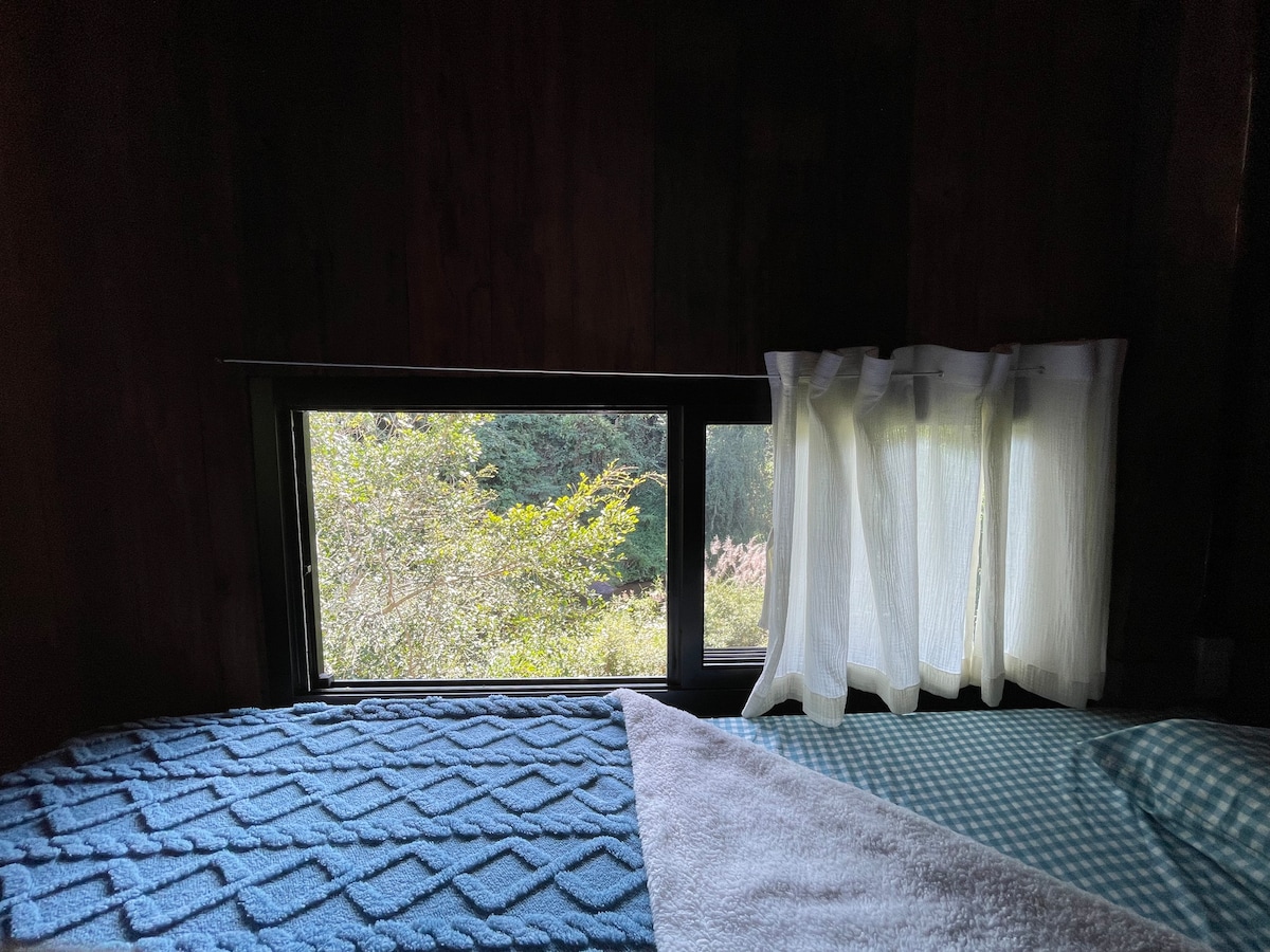A serene sleeping area is highlighted by a large window allowing natural light to enter. Soft curtains frame the view of the surrounding greenery. A textured blue blanket and a checkered fabric are neatly arranged on the spacious bed.