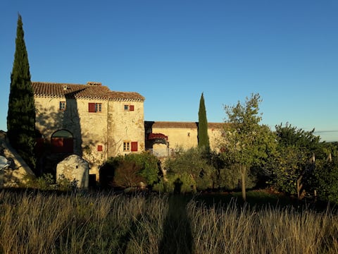 Beautiful Cevenol farmhouse, for large families!