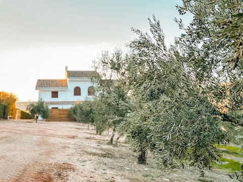 Cozy Rustic House