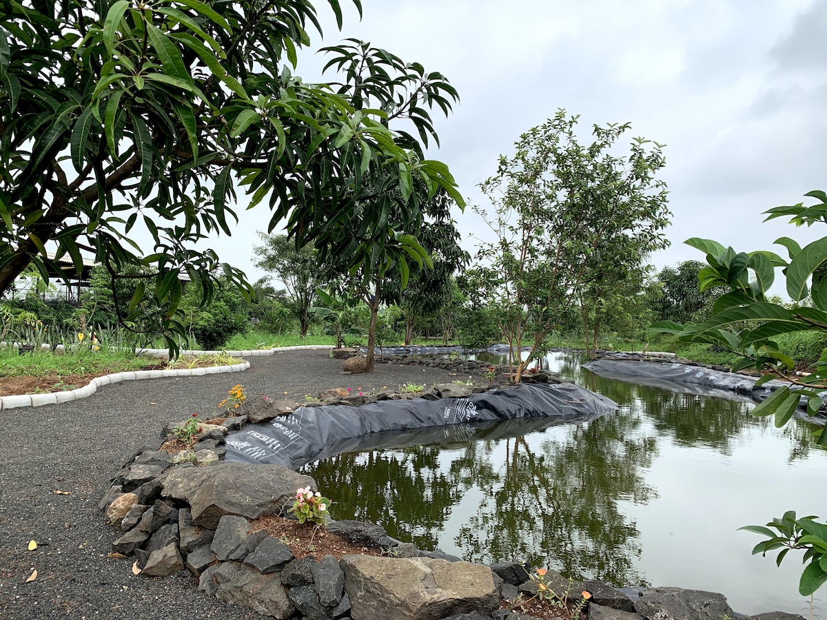 A serene organic farm setting features a tranquil pond surrounded by lush greenery and rocks. Neatly arranged garden beds are visible along the walking path, with trees providing shade. Soft earth tones dominate the landscape, creating a refreshing natural atmosphere.