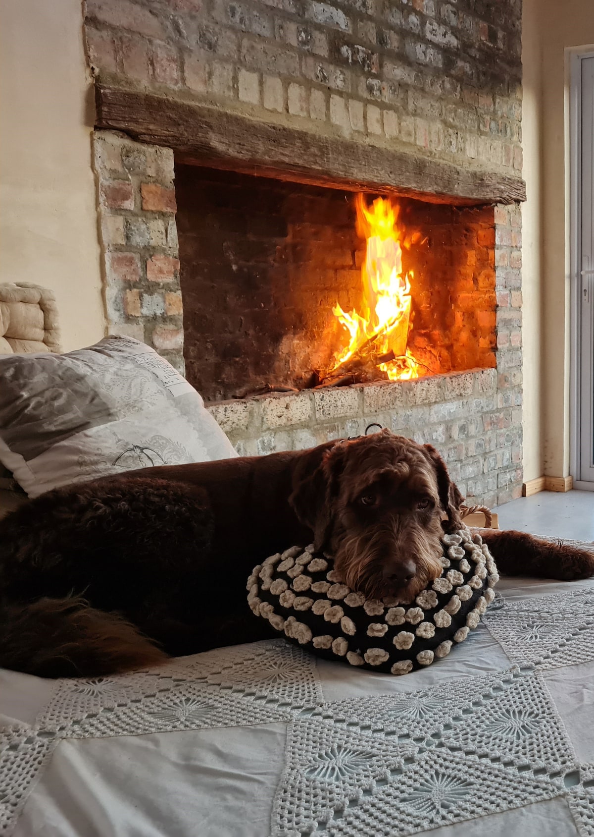 A cozy seating area features a textured sofa with decorative pillows. In the background, a rustic fireplace is ablaze, casting a warm glow. A friendly dog rests comfortably on a round woven cushion, adding to the inviting atmosphere of the space.