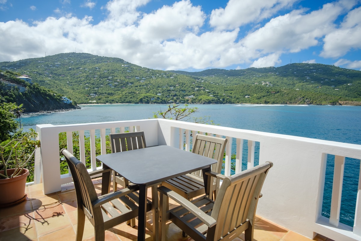 A private balcony showcases a scenic view of the Caribbean Sea and surrounding green hills. A dark outdoor dining table is accompanied by four wooden chairs, while a potted plant adds a touch of nature to the space.