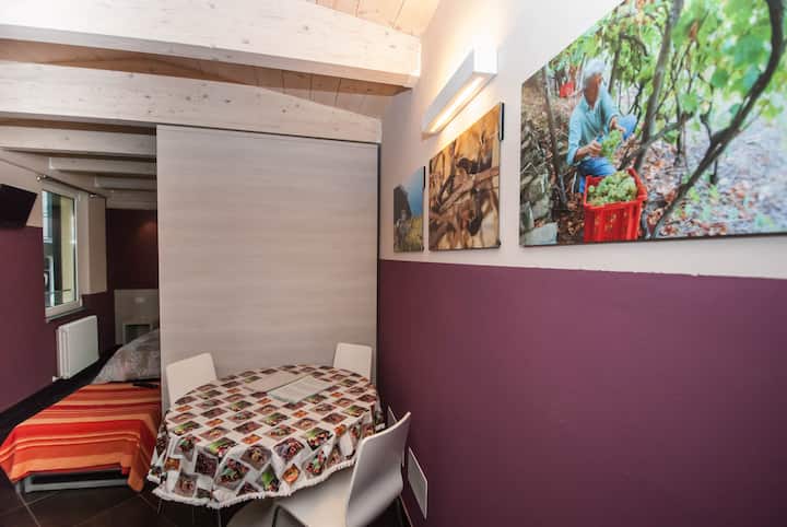 Le Coste Monolocale 2, Centre De Manarola - Riomaggiore