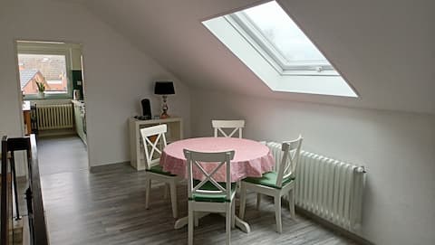 Beautiful bright friendly apartment