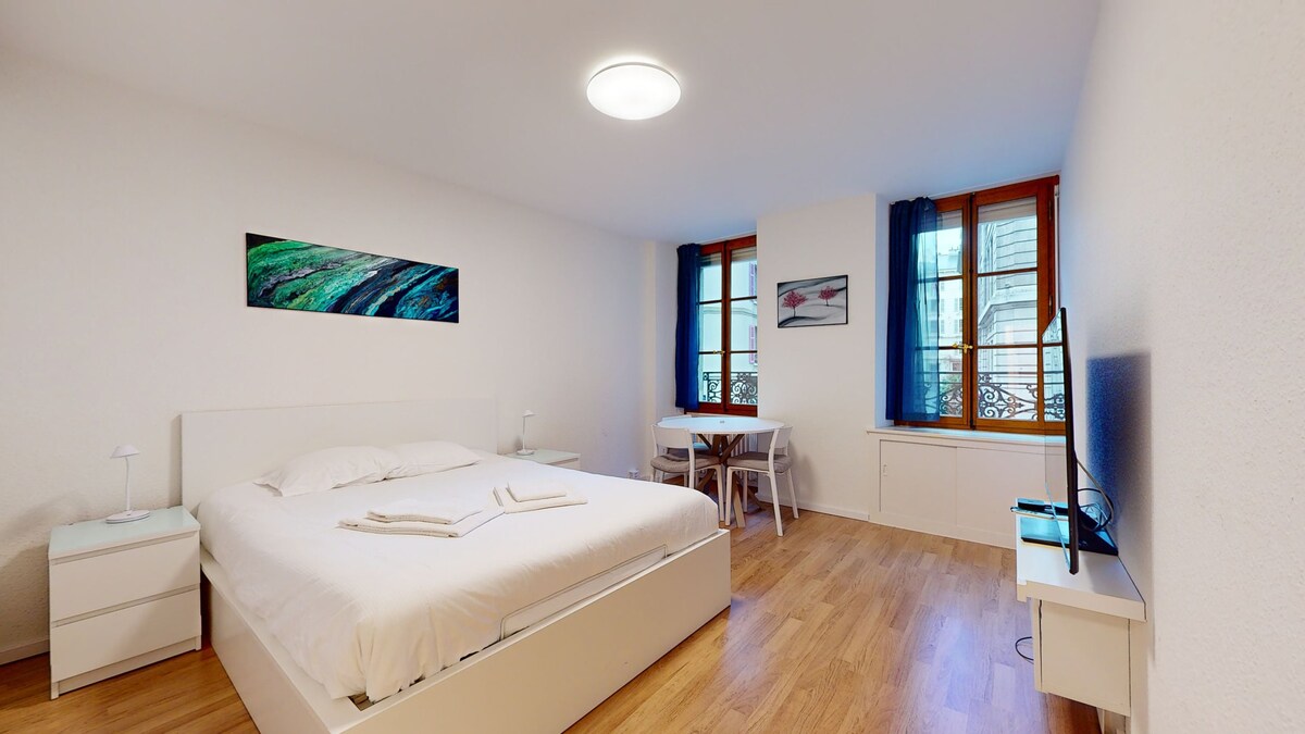 Successful Airbnb property: Modern studio in the heart of Geneva in Grottes Et Saint Gervais