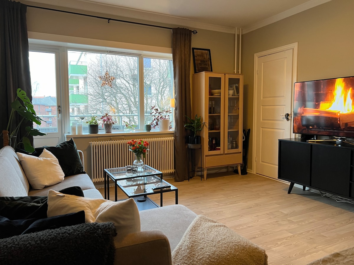 A living area features a spacious sofa adorned with various cushions. A glass coffee table is positioned in front of the sofa. Large windows provide ample natural light, showcasing views of the outdoors. A TV is displayed on a dark cabinet, while a bookshelf adds to the decor.