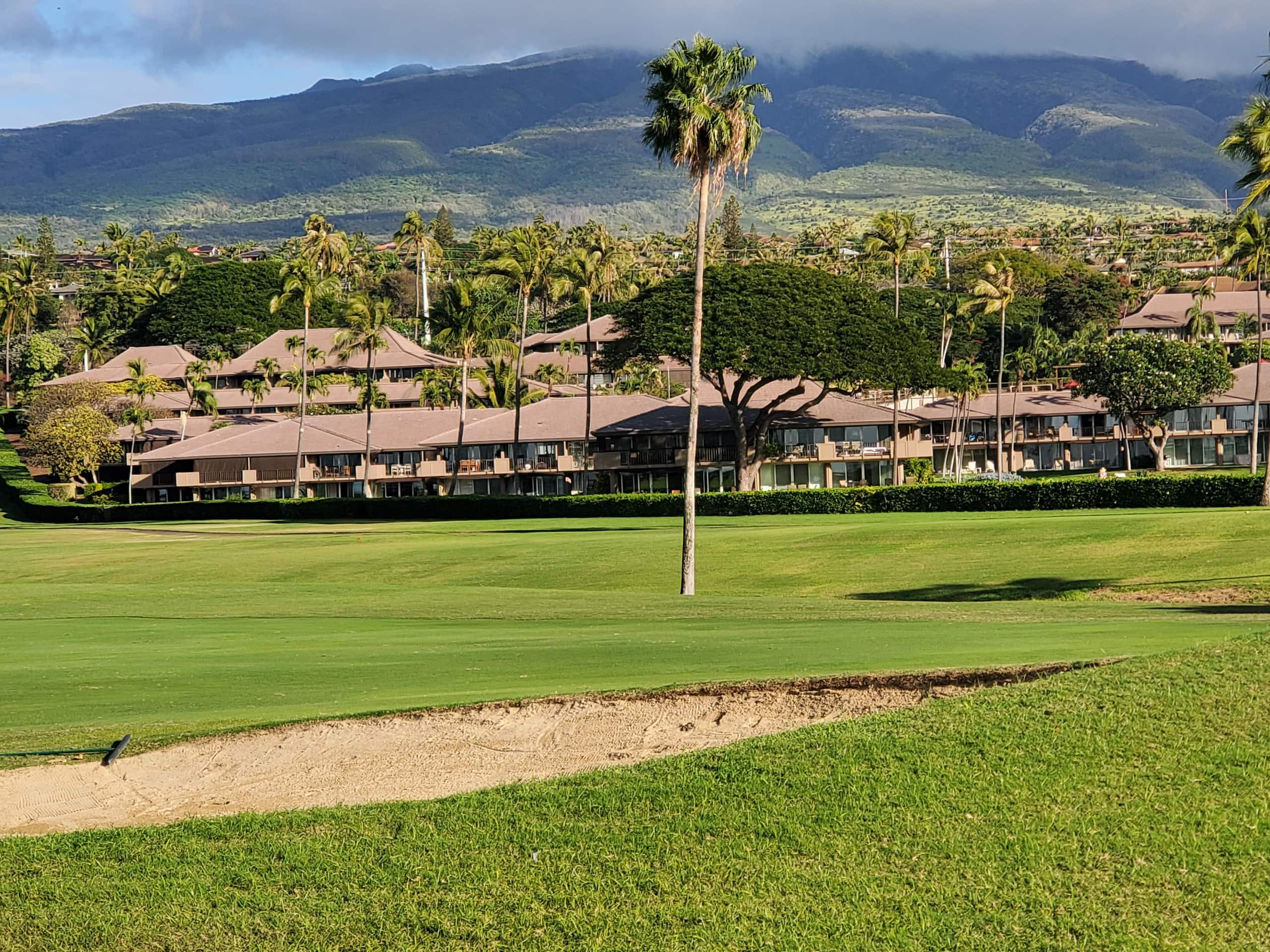 Condo in Lahaina · ★5.0 · Studio · 2 beds · 1 bath - Image 17