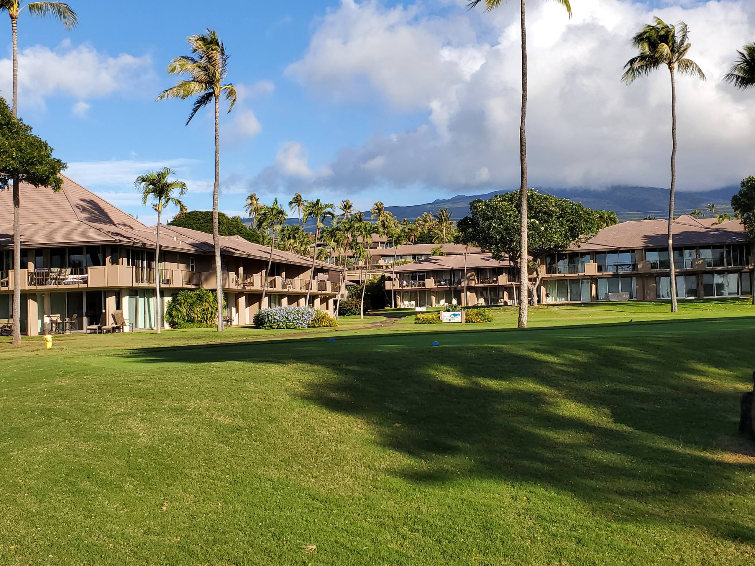 Condo in Lahaina · ★5.0 · Studio · 2 beds · 1 bath - Image 20