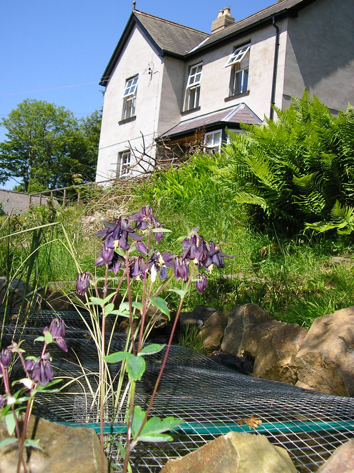 The exterior of a two-story building is visible, featuring large windows and a landscaped garden with lush green foliage. In the foreground, delicate purple flowers stand beside a rock-lined pond, creating a serene natural setting.