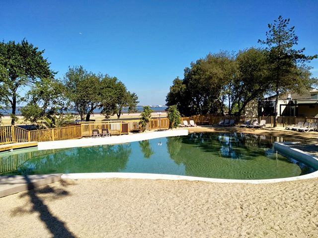A clear view of an outdoor swimming pool is presented, surrounded by sandy areas and framed by lush greenery. The pool's calm water reflects the blue sky above, and sun loungers are positioned along the deck for relaxation.