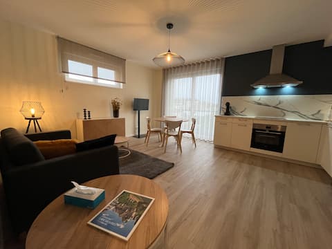 Propriété Airbnb réussie: Bleu d'Alsace: Beautiful renovated apartment near city center à Haguenau