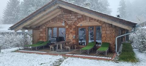 Beautiful log cabin with outdoor sauna and bathtub
