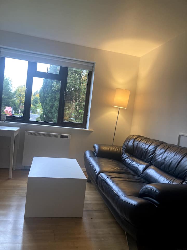 Beautiful Flat In Wood Green - London