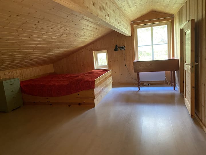 Ჭერის დაბალი სიმაღლე. საწოლი ლოფტში 1,50 მ სიგანის. Სამუშაო სივრცის შესაძლებლობა ფანჯარაში. 