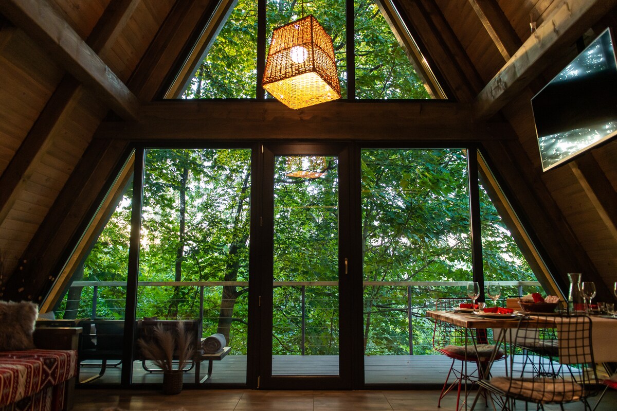 A triangular windowed structure reveals a lush green canopy outside, inviting natural light into the space. A modern pendant light hangs from the ceiling, while a dining area with a stylish table and chairs offers a view of the surrounding trees.