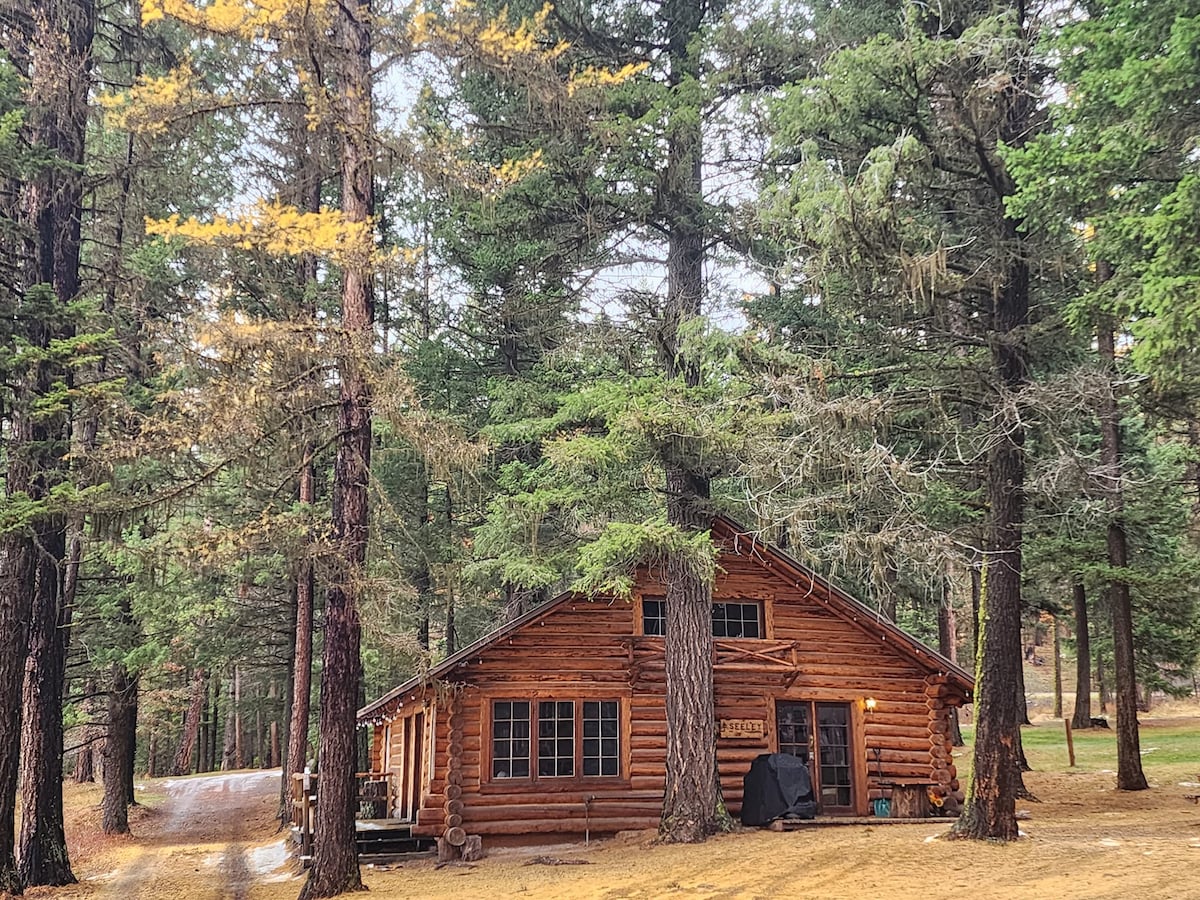A traditional log cabin is surrounded by tall trees, with a natural path leading up to its entrance. Large windows invite light into the inviting space, while the rustic exterior blends seamlessly with the serene forest setting.