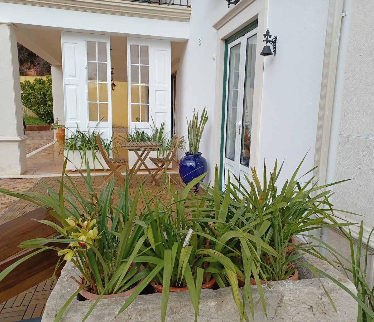 A tranquil outdoor space features an arrangement of green plants in terracotta pots. A blue ceramic pot stands prominently among the greenery, while wooden furniture can be seen to the side. Large windows allow natural light to enter the adjoining room.