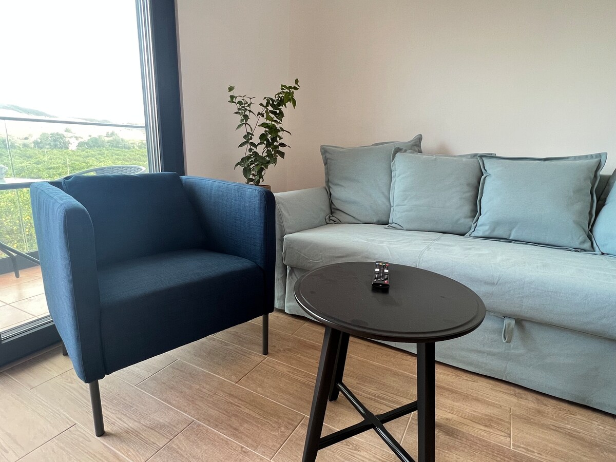 Imóvel de sucesso: Orange Grove Residence em Silves