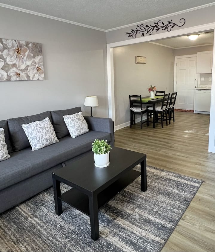 Apt. Near Downtown - 2br/1ba/3be - City View, SC
