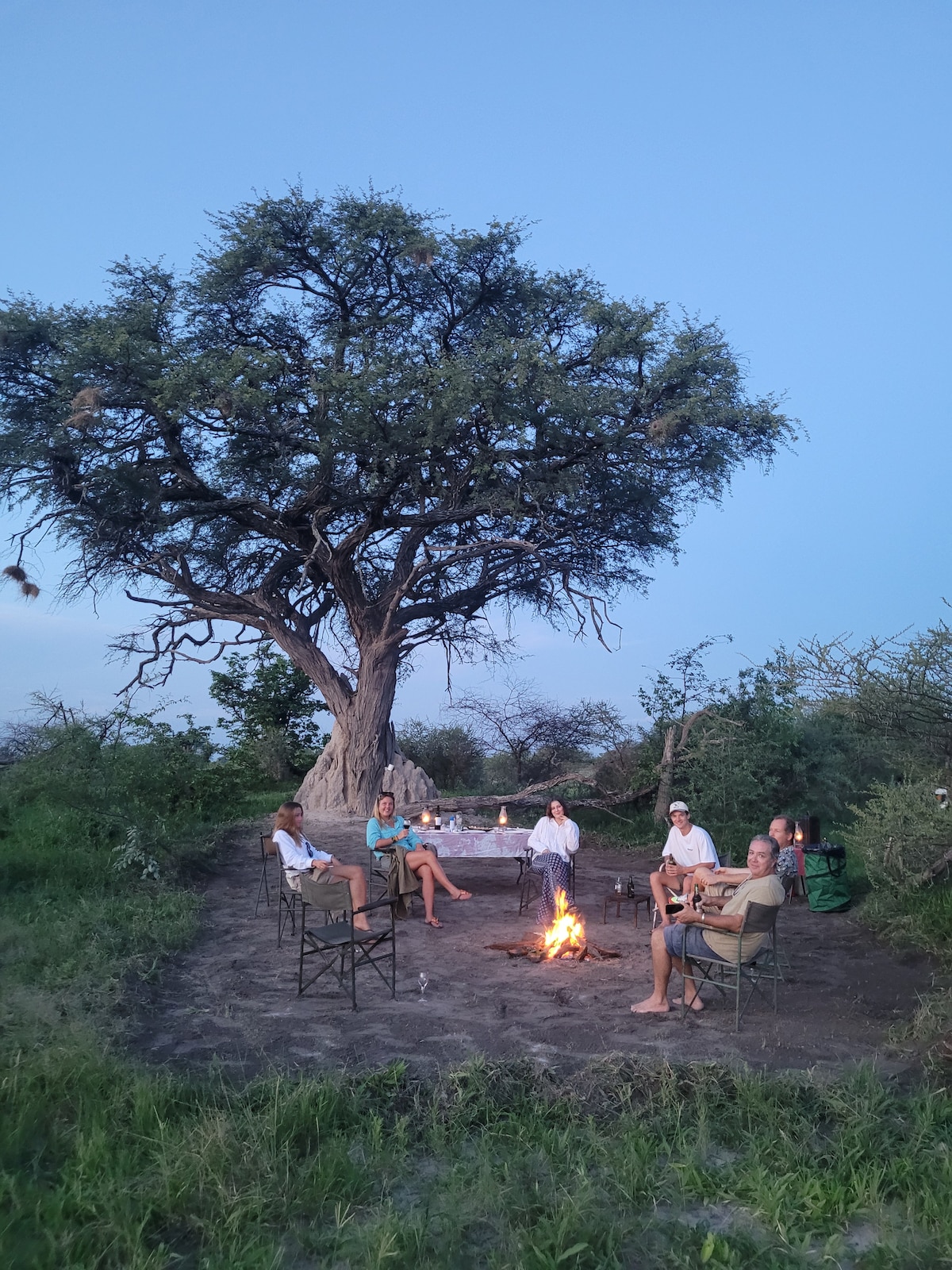 A group of individuals is gathered around a warm campfire, seated on folding chairs under a large tree. The setting is surrounded by natural vegetation, with the evening sky adding a serene ambiance to the scene.
