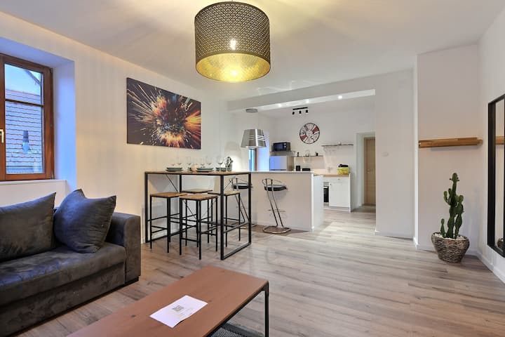 Magnifique Appartement De 75m2 Proche Colmar - Ensisheim
