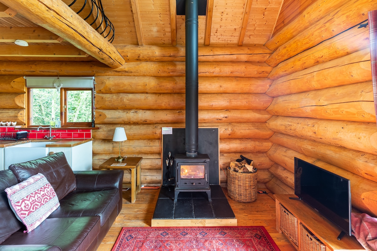 A cozy living area features a dark leather sofa with decorative cushions, positioned near a wood-burning stove. A red-and-black area rug lies on the wooden floor, and a small side table is nearby. A window allows for natural light, while a television and a wicker basket add warmth to the space.