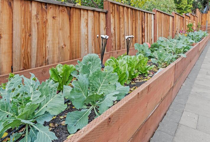 The Garden House gallery image 5