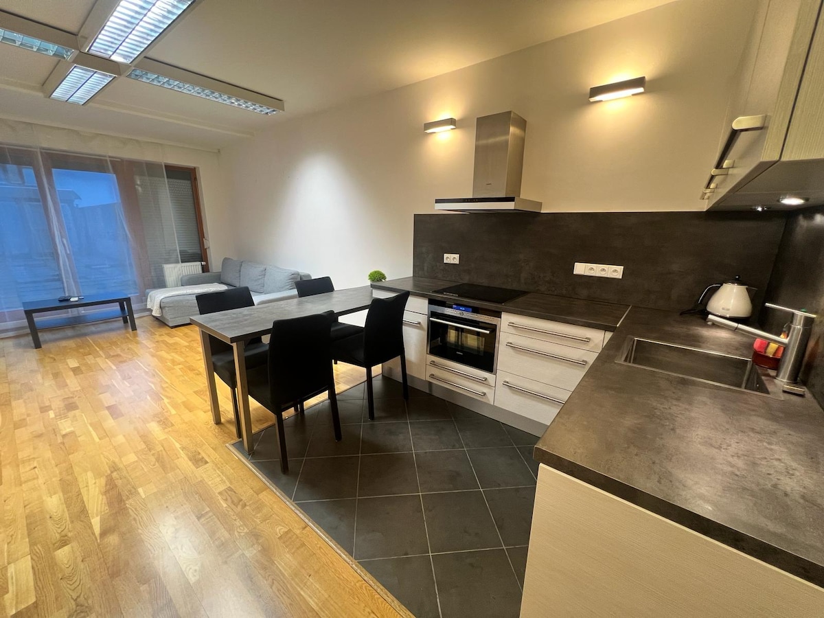 A modern kitchen area is presented with a sleek countertop and essential appliances. A dining table with chairs is positioned adjacent to the kitchen. A cozy seating area is featured in the background, highlighting the apartment's spacious layout. Natural light is softly diffused through the window.
