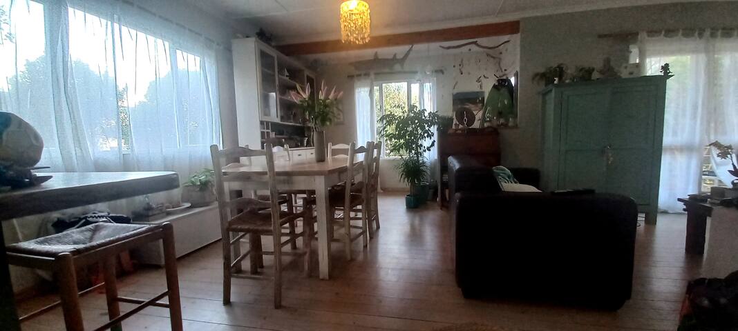 Frangipani Beach House gallery image 4