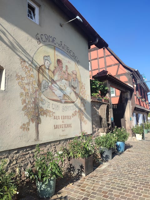 Authentic Alsatian apartment