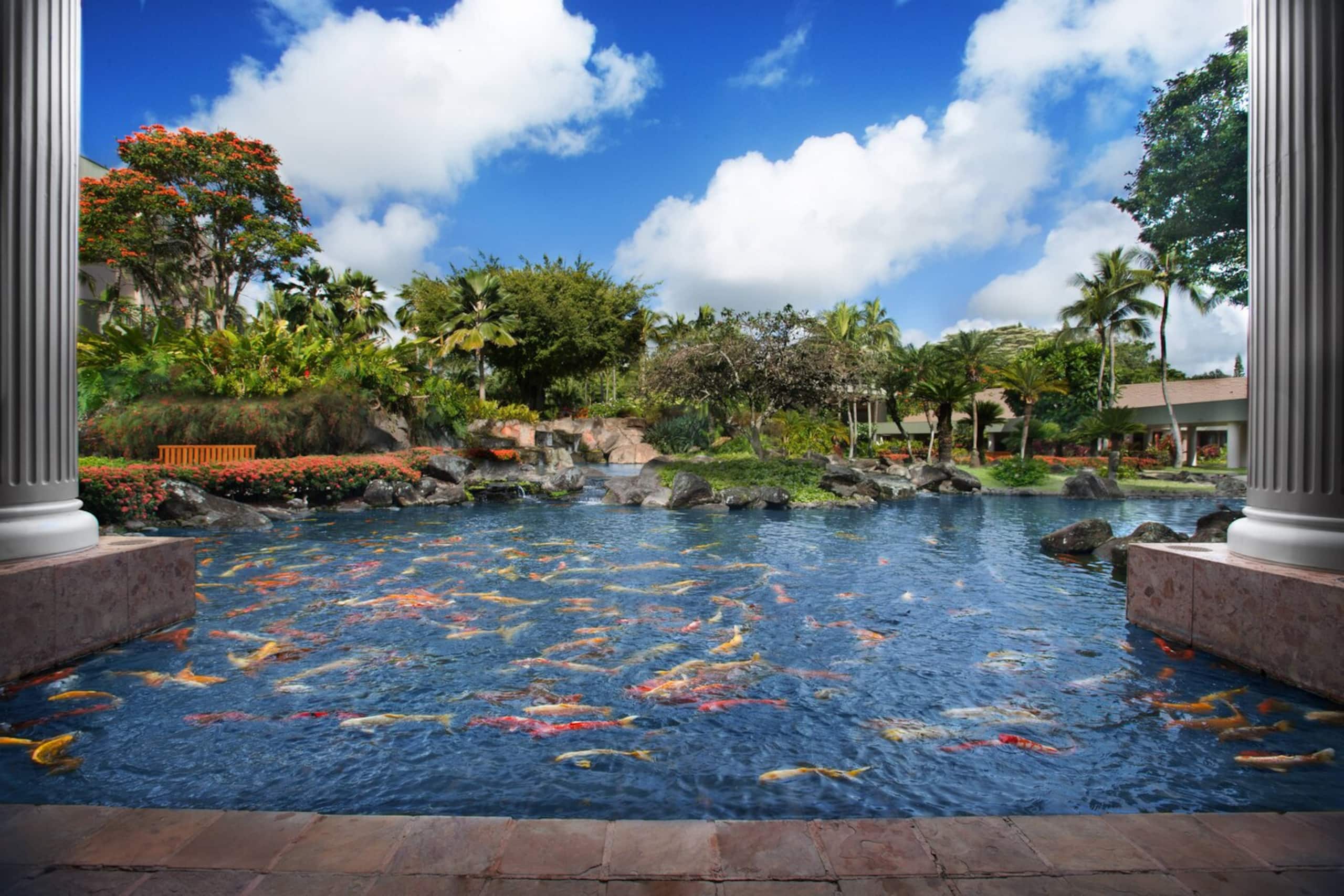 Condo in Lihue · ★4.92 · Studio · 1 bed · 1 private bath - Image 22