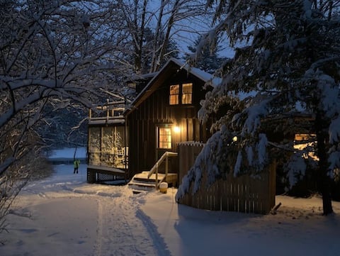 Lakeshore cabin with private beach and dock