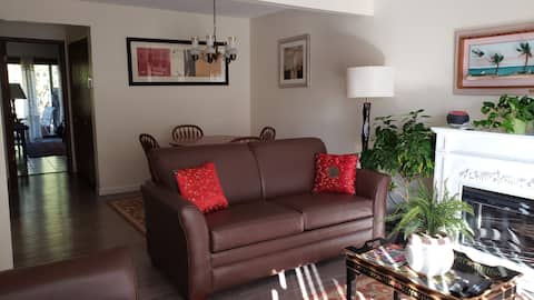 Top Airbnb: Cozy Condo in Cleveland Heights