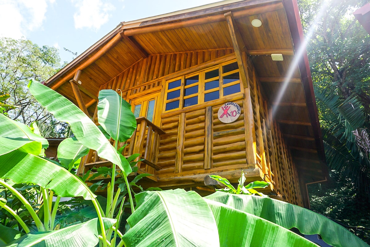 A rustic wooden cabin is nestled among lush tropical plants, showcasing large windows and a welcoming porch. The structure is surrounded by vibrant green leaves, enhancing the natural setting. Sunlight filters through the trees, creating a serene atmosphere.