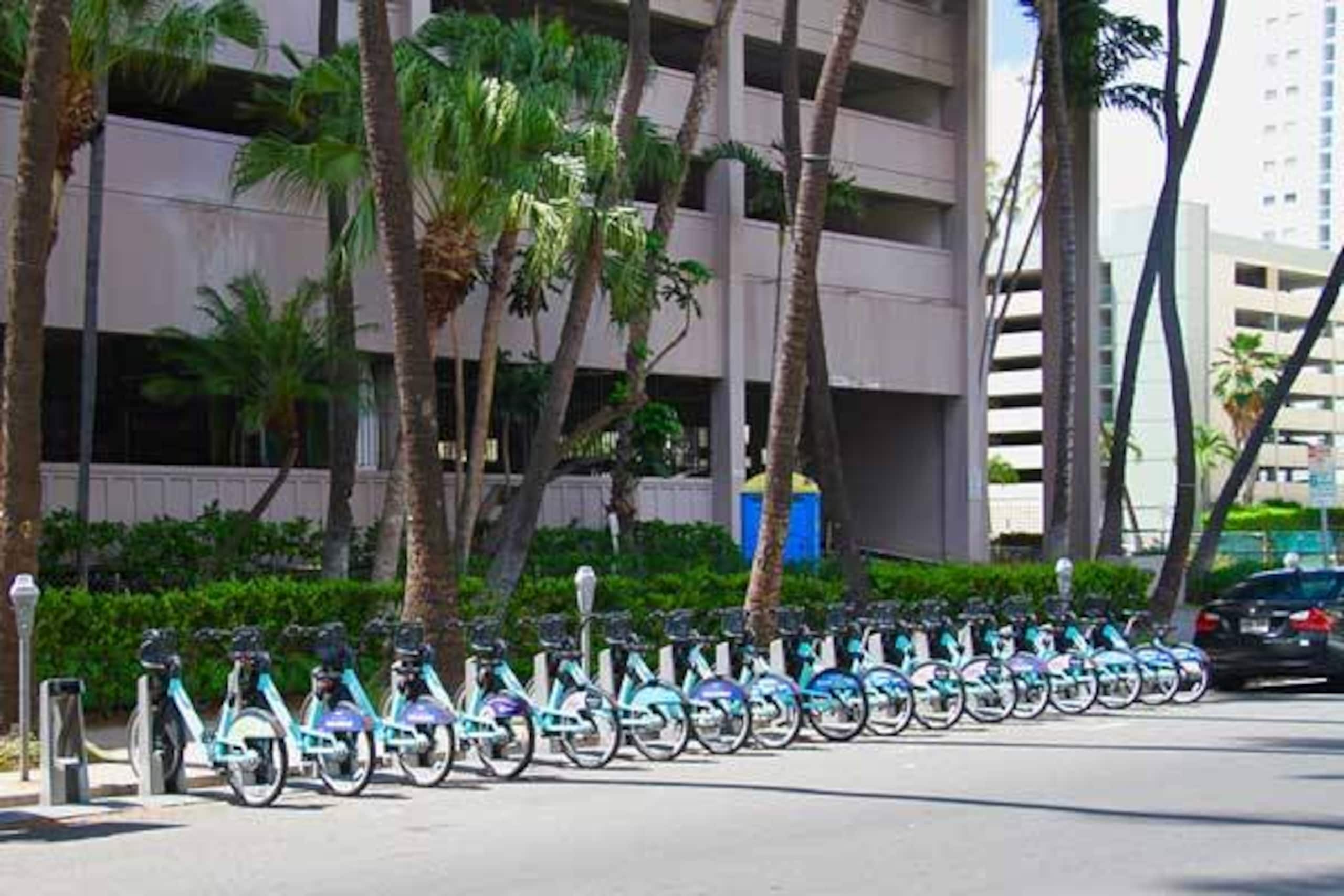 FREE Parking Corner 1BR/4 in Heart of Waikiki - Photo 11