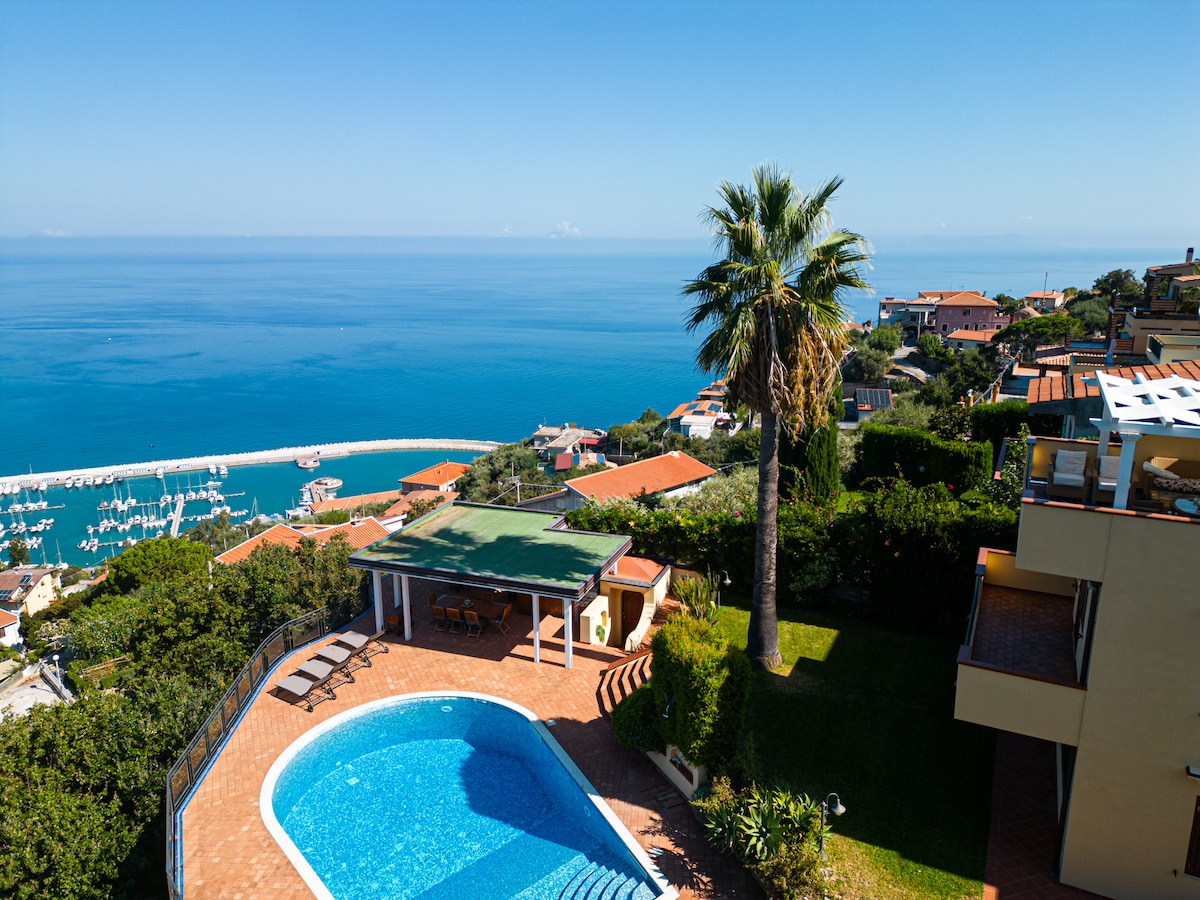 A scenic view of the outdoor area showcases a spacious pool with clear blue water, surrounded by sun loungers and palm trees. The horizon features the coastline with boats in the harbor, framed by well-maintained greenery, under a clear blue sky.