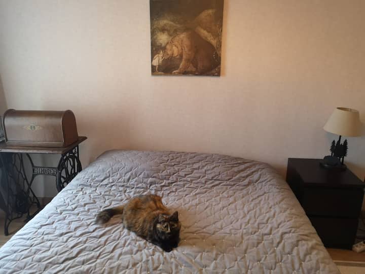 Chambre D'hôtes - Strasbourg