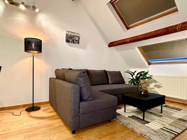 Luxury Suites Museum - Schilde