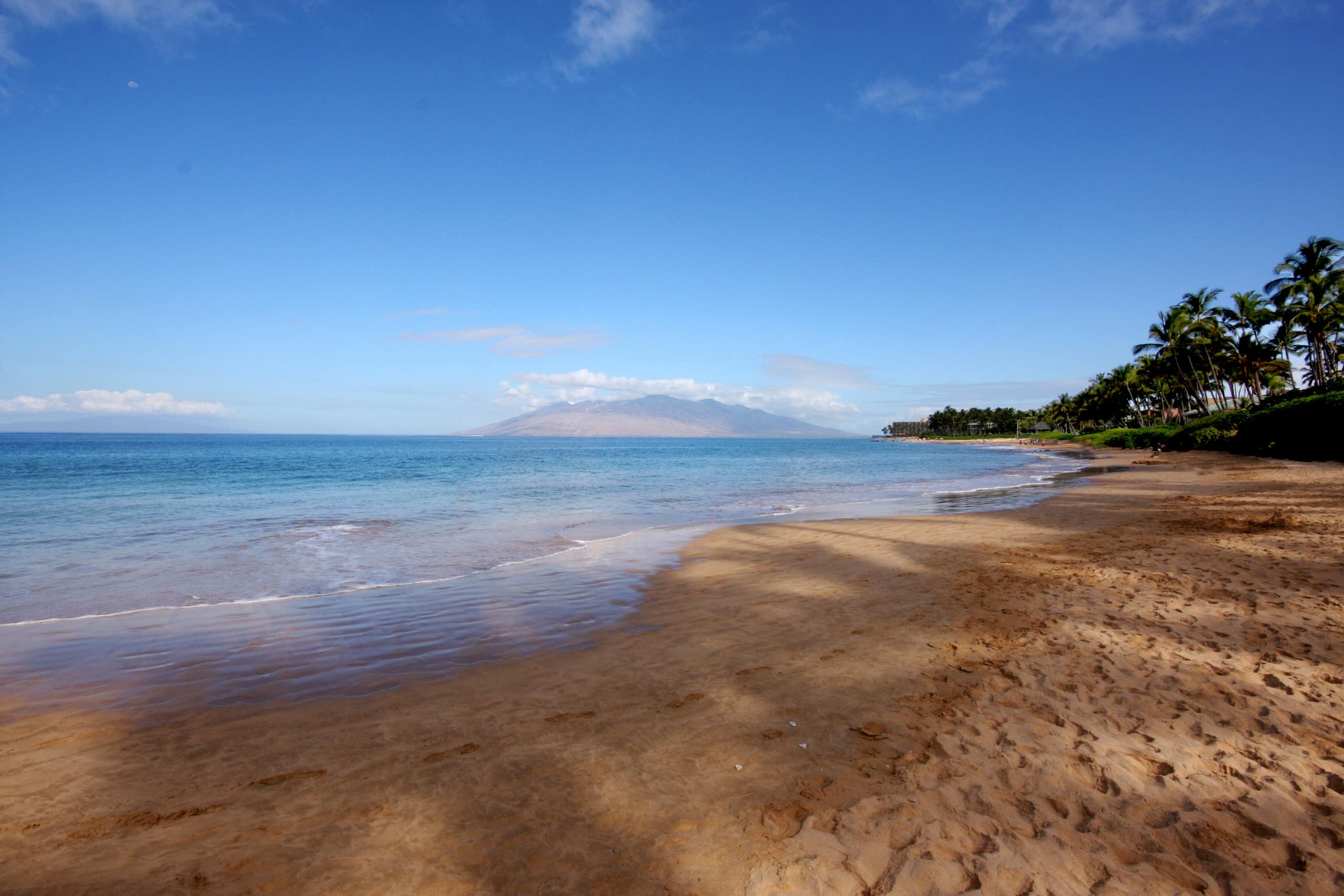 Closest to the beach! - Image 23